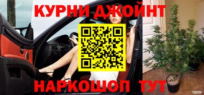 шишки Лесосибирск