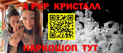 шишки Лесосибирск